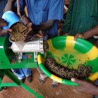 Test de production d’aliment pour poissons après l’assemblage d’une machine à granulés