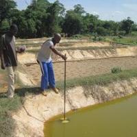 Contrôle de la fertilisation d'un étang