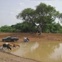 empoissonnement d'un plan d'eau au village